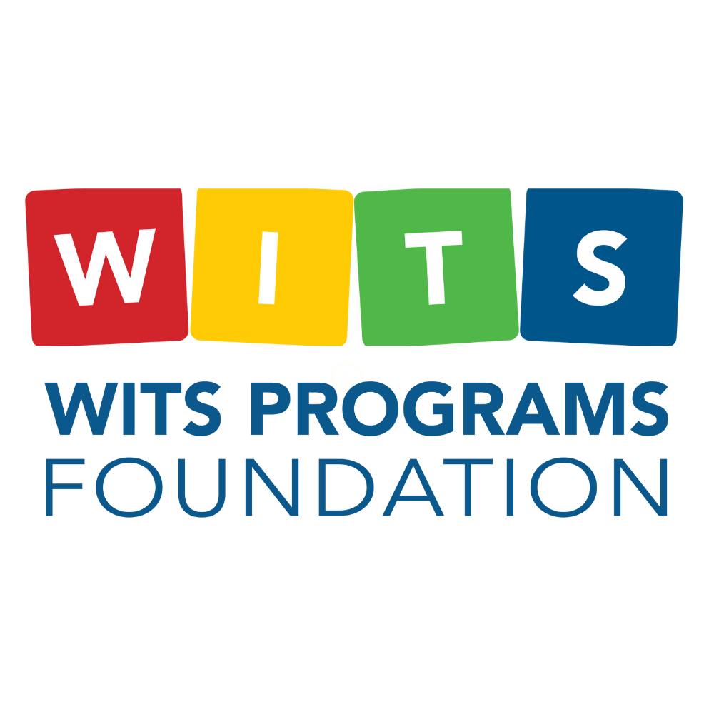 WITS logo